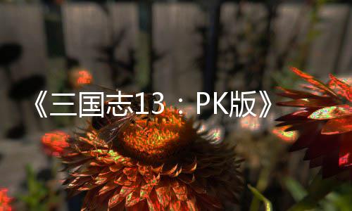 K版重智力三复刷国志攻略