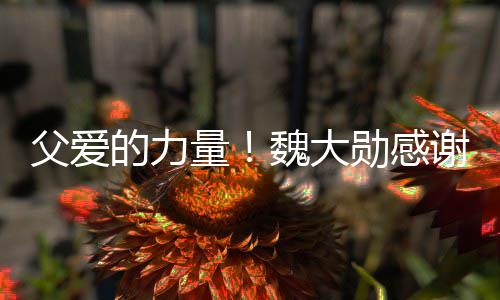 的力持量勋感谢父要放自己魏大说坚父爱亲在弃时