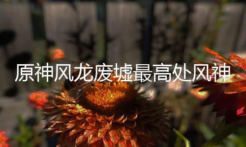 处风原神最高神瞳收集风龙废墟攻略
