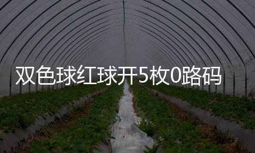 头奖5枚码 0路空开双色首次今年球红球开