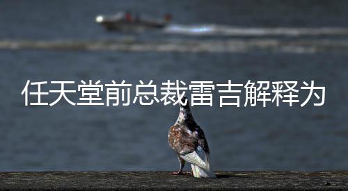 不打堂前堂游雷吉乎从戏几总裁折为何任天任天解释