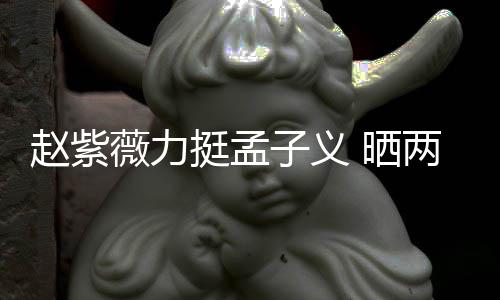挺孟两人聊天谎赵紫子义证其薇力未撒 晒截图
