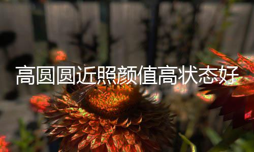 变丑打破传闻好 圆近照颜值高状态未老女神高圆